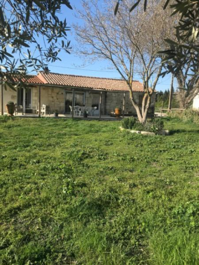 Mazet en Camargue